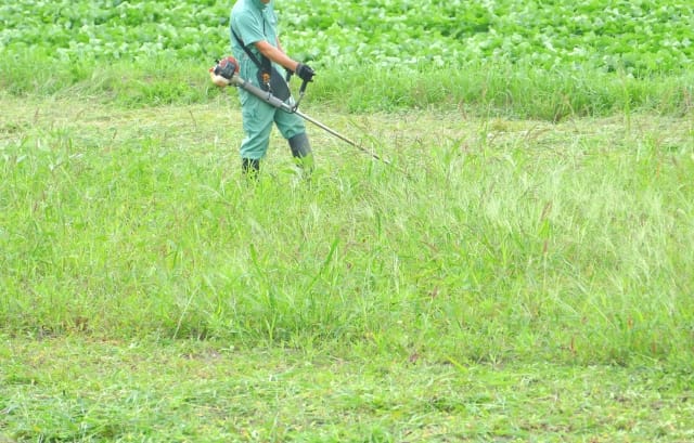 草刈機（刈払機）の使い方とメンテナンスの仕方！安全に使うために注意するポイントは？｜農業・ガーデニング・園芸・家庭菜園マガジン[AGRI PICK]