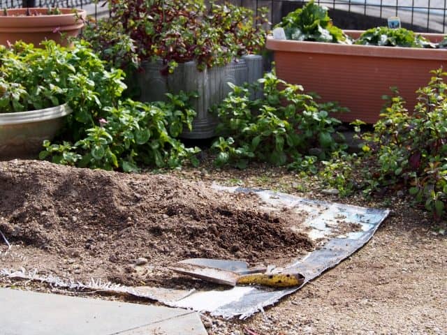 プランターの土どうする 土の再生法 処分法 農業 ガーデニング 園芸 家庭菜園マガジン Agri Pick