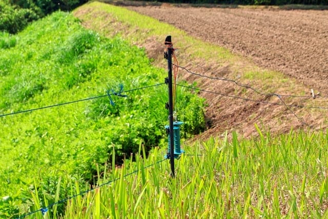 電気柵で害獣対策！安全な電気柵キットや、効果的な設置方法を紹介｜農業・ガーデニング・園芸・家庭菜園マガジン[AGRI PICK]