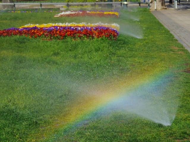 スプリンクラーの散水と虹