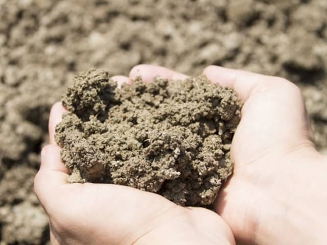 農学博士が解説！畑の土壌改良の方法とおすすめ土壌改良材｜pH調整や粘土質の改良など詳しく紹介