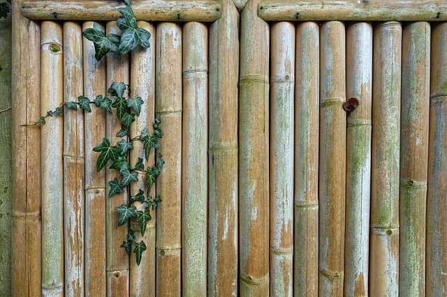 天然竹の垣根の美しさ