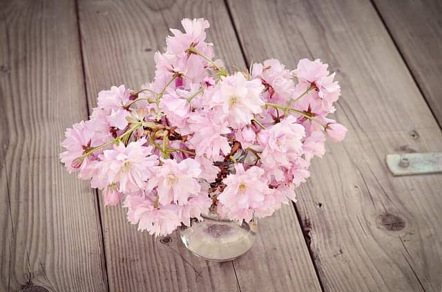 瓶に活けられた桜の花