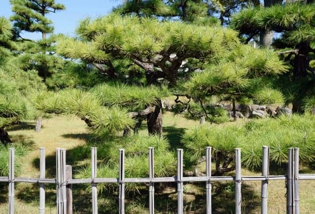 四つ目垣と日本の庭