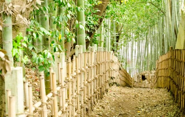 竹垣の種類と作り方 和風のお庭に 結び方などdiy アレンジ方法を徹底解説 農業 ガーデニング 園芸 家庭菜園マガジン Agri Pick