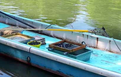 小舟の上に漁に使う道具が積んである。