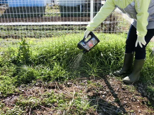 レインボー薬品に聞いた 除草剤 ネコソギ のおすすめや効果的な使い方とは 農業 ガーデニング 園芸 家庭菜園マガジン Agri Pick