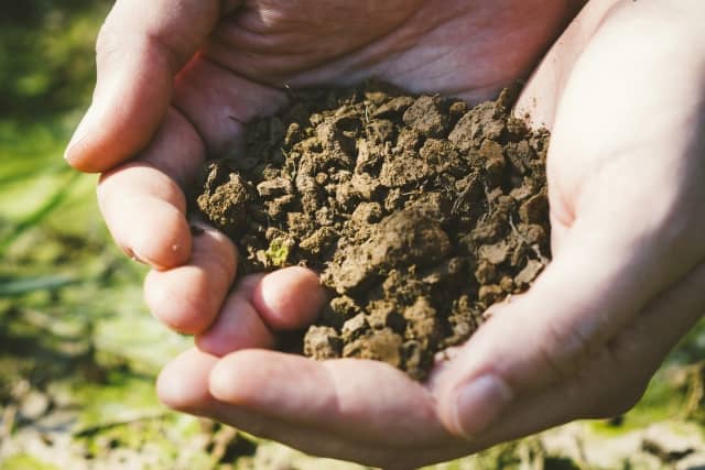 土壌消毒 地域や時期 殺菌したい病原体に合わせた連作障害対策 農業 ガーデニング 園芸 家庭菜園マガジン Agri Pick