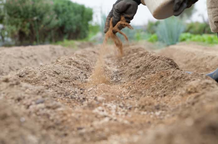 畑に骨粉などの肥料をまいていい土を作る