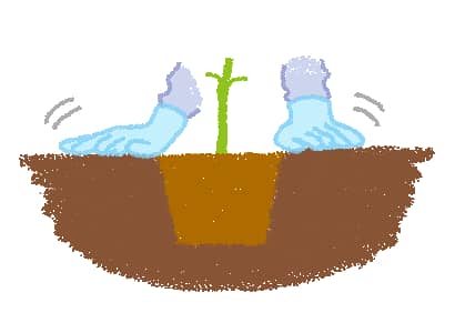 地植え、苗の植え付け