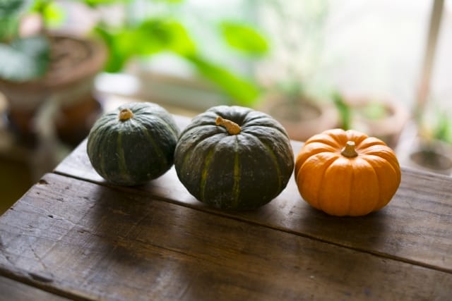 野菜の種のプロが厳選】家庭菜園で栽培できるかぼちゃの種類14選