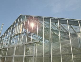 ハウス栽培、ガラス温室