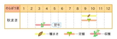 のらぼう菜の栽培カレンダー