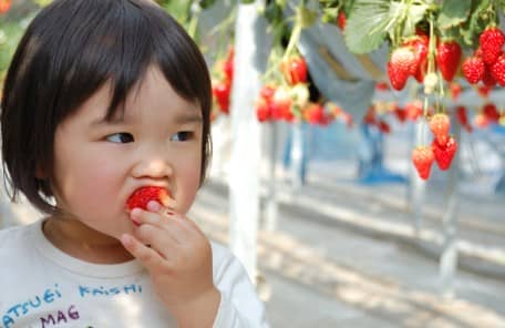 イチゴを食べる女の子