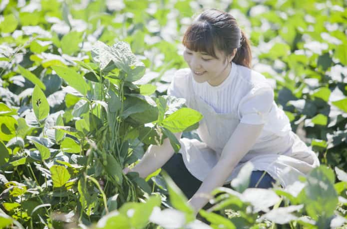 畑で野菜を育てる女性