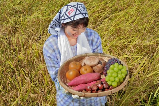 野菜を収穫する女性