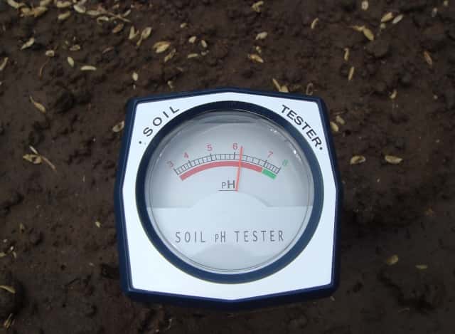 土壌のpH測定
