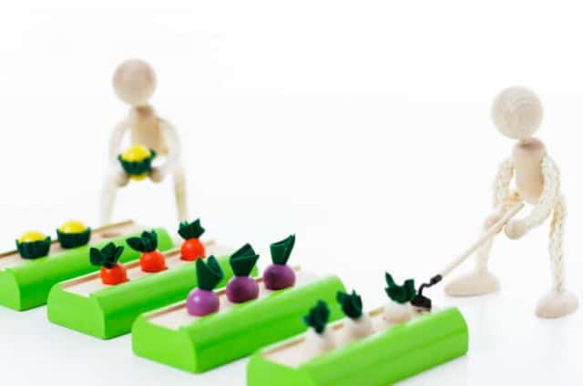 野菜を育てる模型
