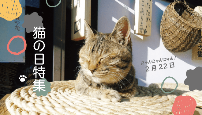 2月22日は猫の日！愛猫と過ごすグリーンライフのご提案