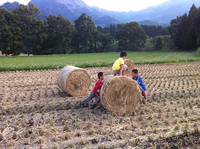 田んぼで遊ぶ子どもたち
