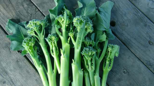 スティック セニョール 茎ブロッコリー とは 栽培法とおいしい食べ方を 菜園のプロ監修が解説 農業 ガーデニング 園芸 家庭菜園マガジン Agri Pick