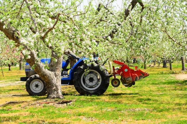 りんごの花と農機具