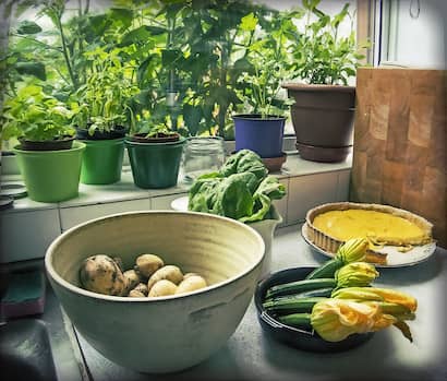 窓辺で栽培中のハーブやベランダや畑で育てた野菜を使って料理