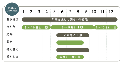 ポトスの栽培カレンダー
