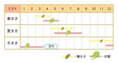  ミズナ栽培カレンダー