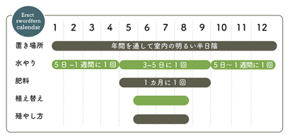 ネフロレピス　栽培カレンダー