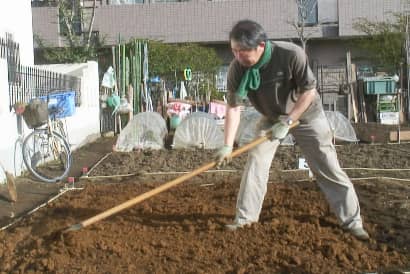 レーキで、掘り上げた深層土を畑の表面に広げます