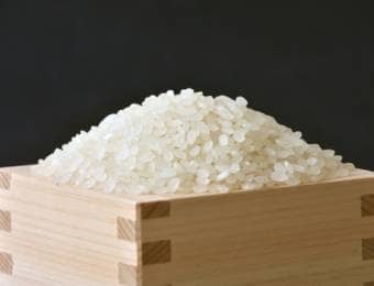 米生産量