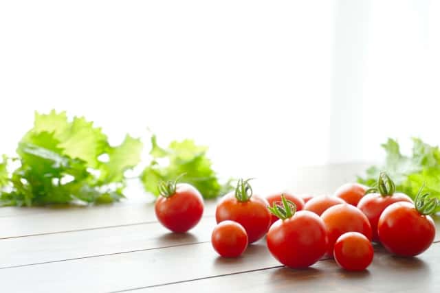 接ぎ木は優れたトマトを栽培するための知恵 小規模農家が実践する収量アップの秘訣 農業 ガーデニング 園芸 家庭菜園マガジン Agri Pick