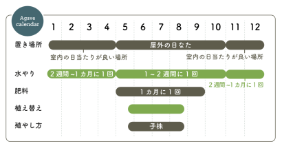 アガベ 栽培カレンダー