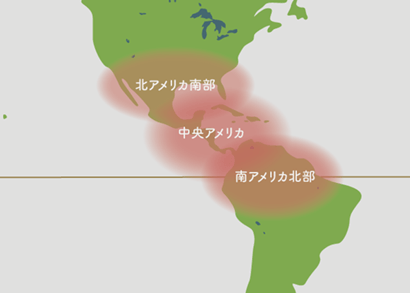 アガベ 原産地 地図