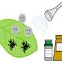 作物の葉に発生している害虫と病原菌に殺虫殺菌剤を散布しているイラスト