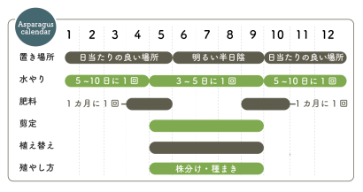アスパラガス栽培カレンダー