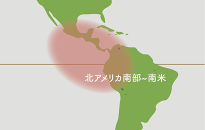 チランジア原産地地図