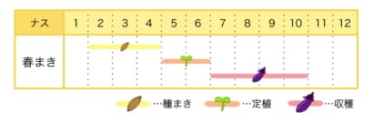 ナスの栽培カレンダー