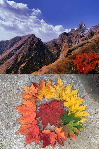 阿蘇の山と紅葉