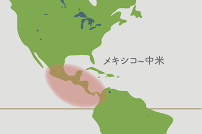 エピフィルム原産地地図