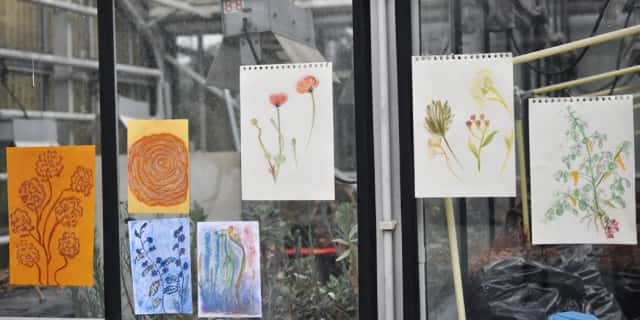 窓に飾られた植物のイラストたち