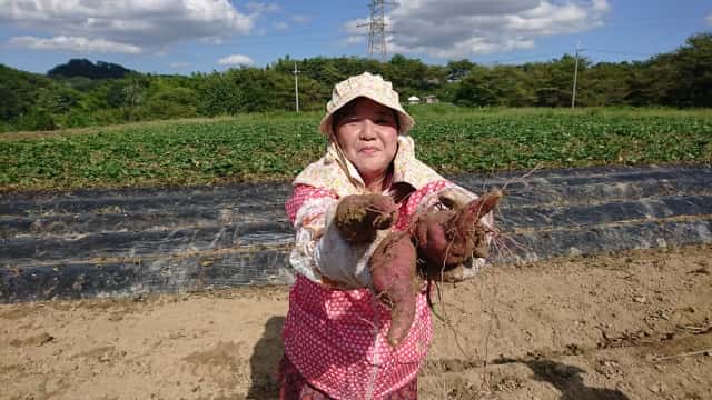 農業女性
