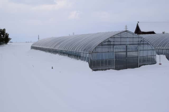 ビニールハウスの雪対策｜雪国の農家が実践する対策を伝授します｜農業・ガーデニング・園芸・家庭菜園マガジン[AGRI PICK]