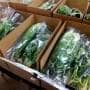久松農園の野菜セット