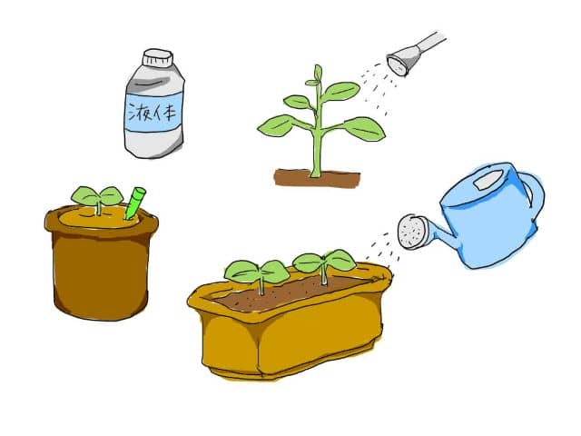 液体肥料の特徴や種類 家庭菜園でも使いやすいおすすめの液肥 農業 ガーデニング 園芸 家庭菜園マガジン Agri Pick