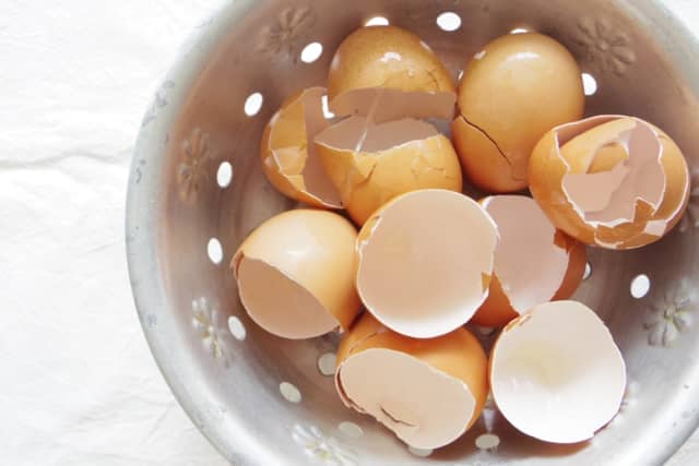 卵の殻は捨てずに再利用 おばあちゃんの知恵 に学ぶ 成分や肥料としての活用法 ぬか床など食べる方法とは 農業 ガーデニング 園芸 家庭菜園マガジン Agri Pick