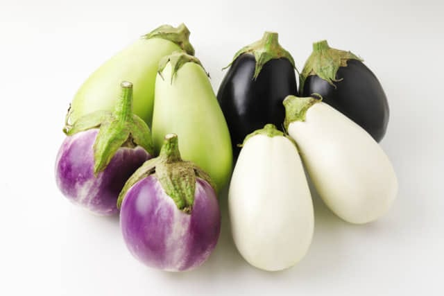 年中無休】 野菜の種 紫なす アレキサンドラ ムラサキと白の縞 タネ