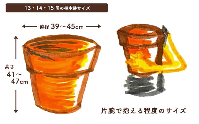13・14・15号の植木鉢のサイズ