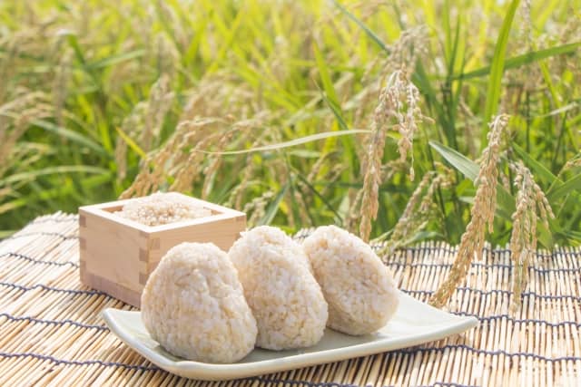 玄米のお米の品種の選び方